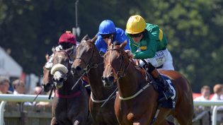 Timeline wins five year contract for Racecourse Media Group