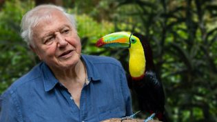 Attenborough to present new BBC, Netflix, Channel 9 series