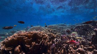 BBC Studios NHU films screensavers for Apple TV 4K