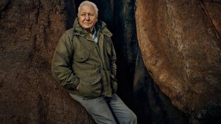 Attenborough to present The Green Planet