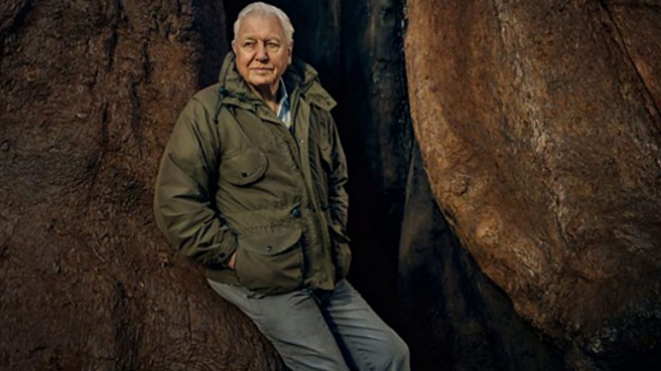 Attenborough to present The Green Planet