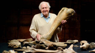BBC lines up new natural history shows