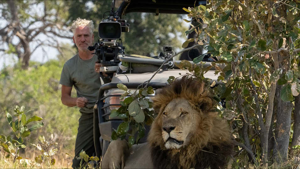 BBC orders two new African wildlife shows