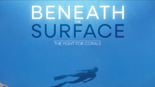 Park Village's Beneath The Surface gets Discovery run