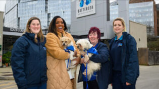 Alison Hammond to front For The Love of Dogs