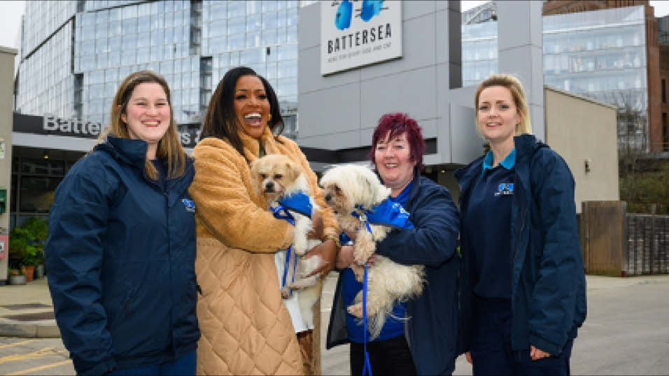 Alison Hammond to front For The Love of Dogs