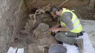 Lion to track new Pompeii dig for BBC2