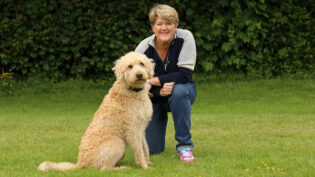 BTS: Lost Dogs: Live, Channel 5