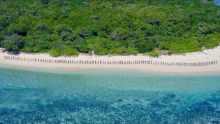 Studio Lambert, Talpa tie for Million Dollar Island