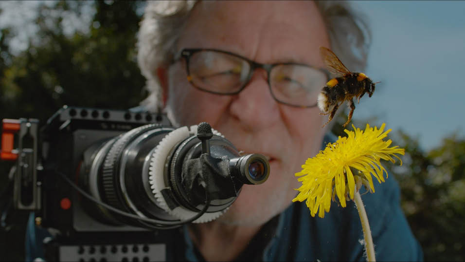 My Garden of a Thousand Bees wins four at Wildscreen