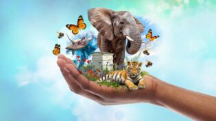 Sky Kids books conservationist shows