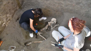 Lion TV returns to Pompeii for BBC