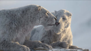 Apple TV+  sets date for Prehistoric Planet: Ice Age