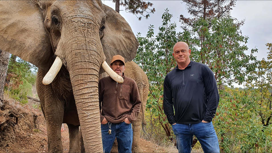 Ross Kemp fronts Rare's ITV doc Michael Jackson’s Zoo