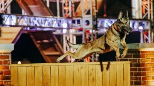 Two Rivers to produce A+E Networks Top Dog for UK, Ireland