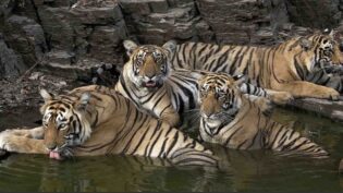 Glasgow to host Wildscreen's first Roadshow