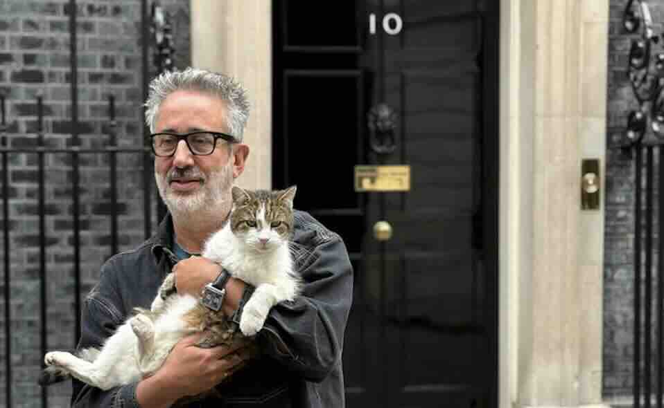 Baddiel purrs as Cat Man for Expectation and C4