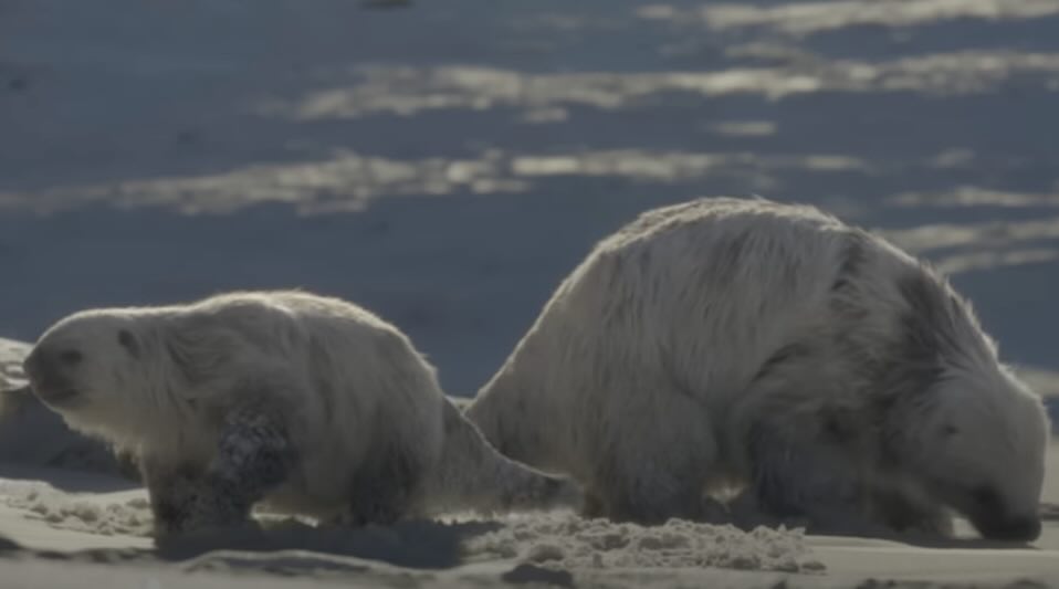 Trailer: Prehistoric Planet S3 for Apple TV+