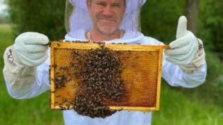 Steve Backshall investigates bees for C5