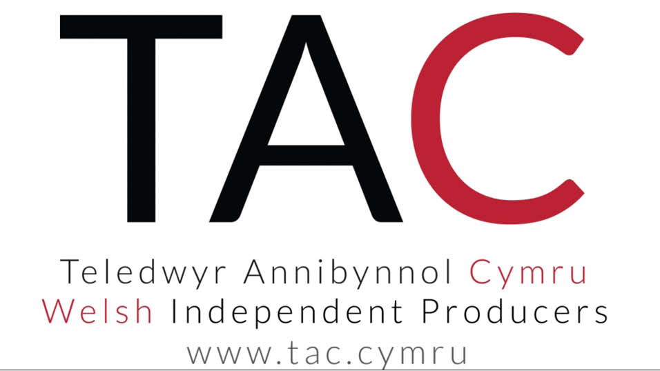Welsh Indies call for greater C4 nations quota