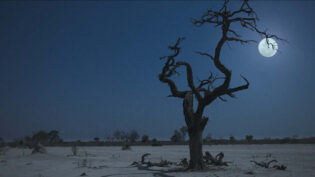 BTS: The Moon, newts and virtual production