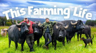 BBC returns to Saving Lives, Murder 24/7, This Farming Life