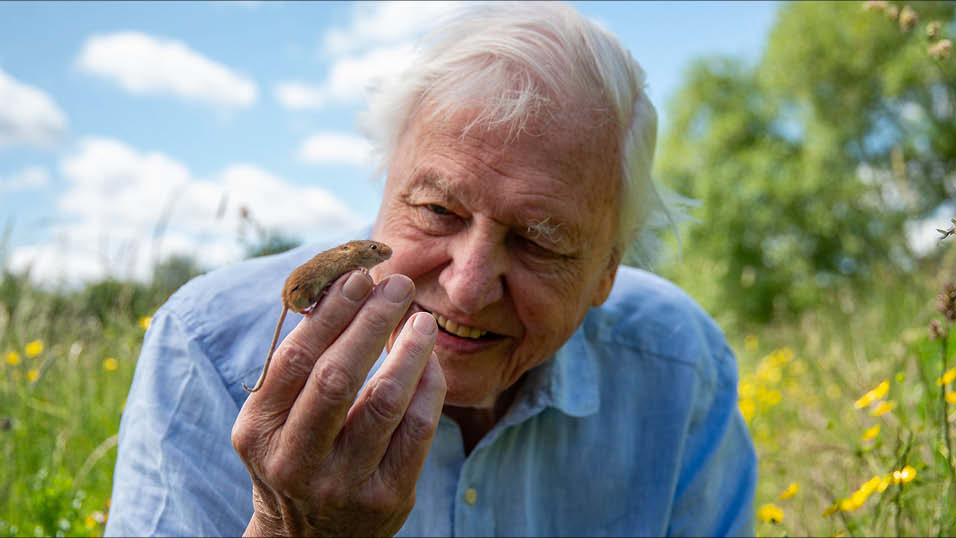 BBC unveils new natural history slate