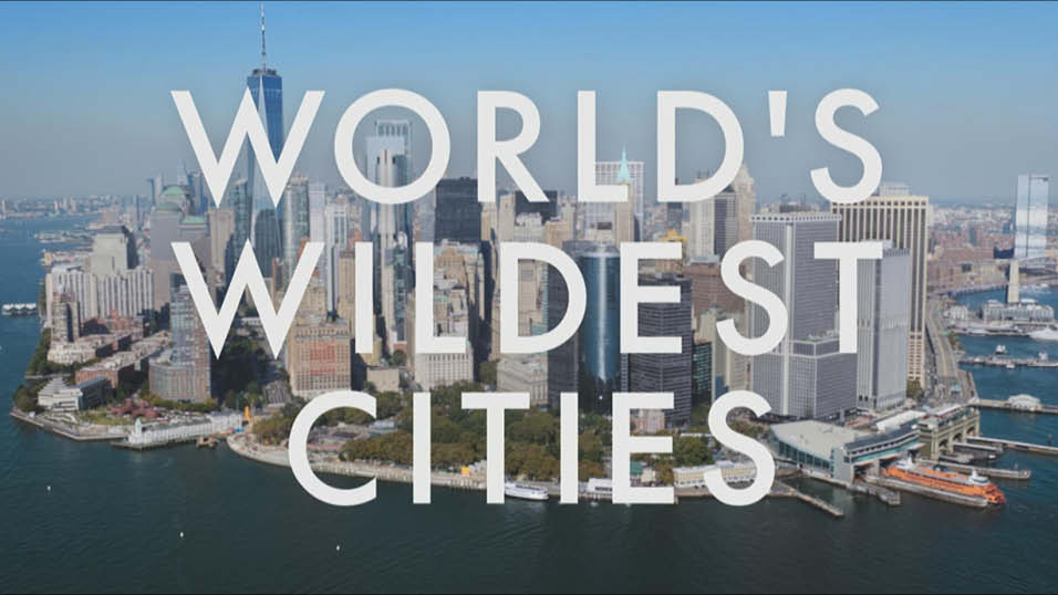 Plimsoll to document global city wildlife for ITV
